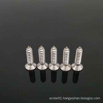 Stainless steel wooden screw torx tapping screw